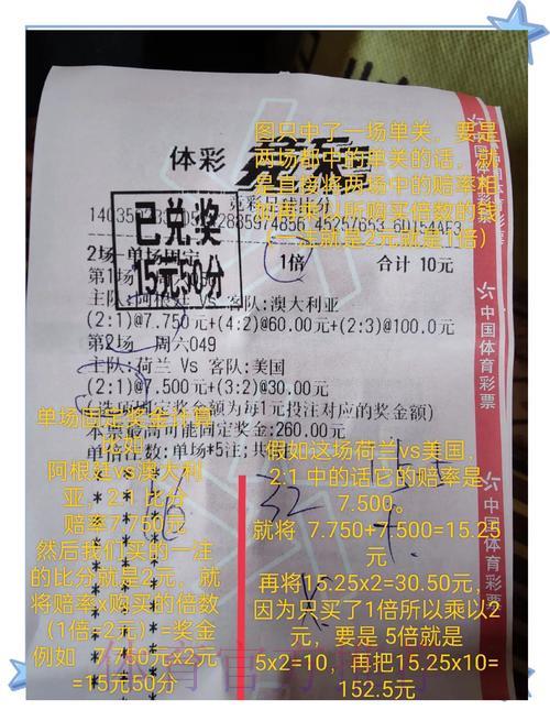 世界杯竞猜攻略：借助数据分析提升投注胜算